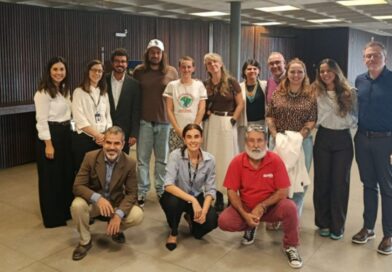 Sinergia participa de workshop sobre transição energética